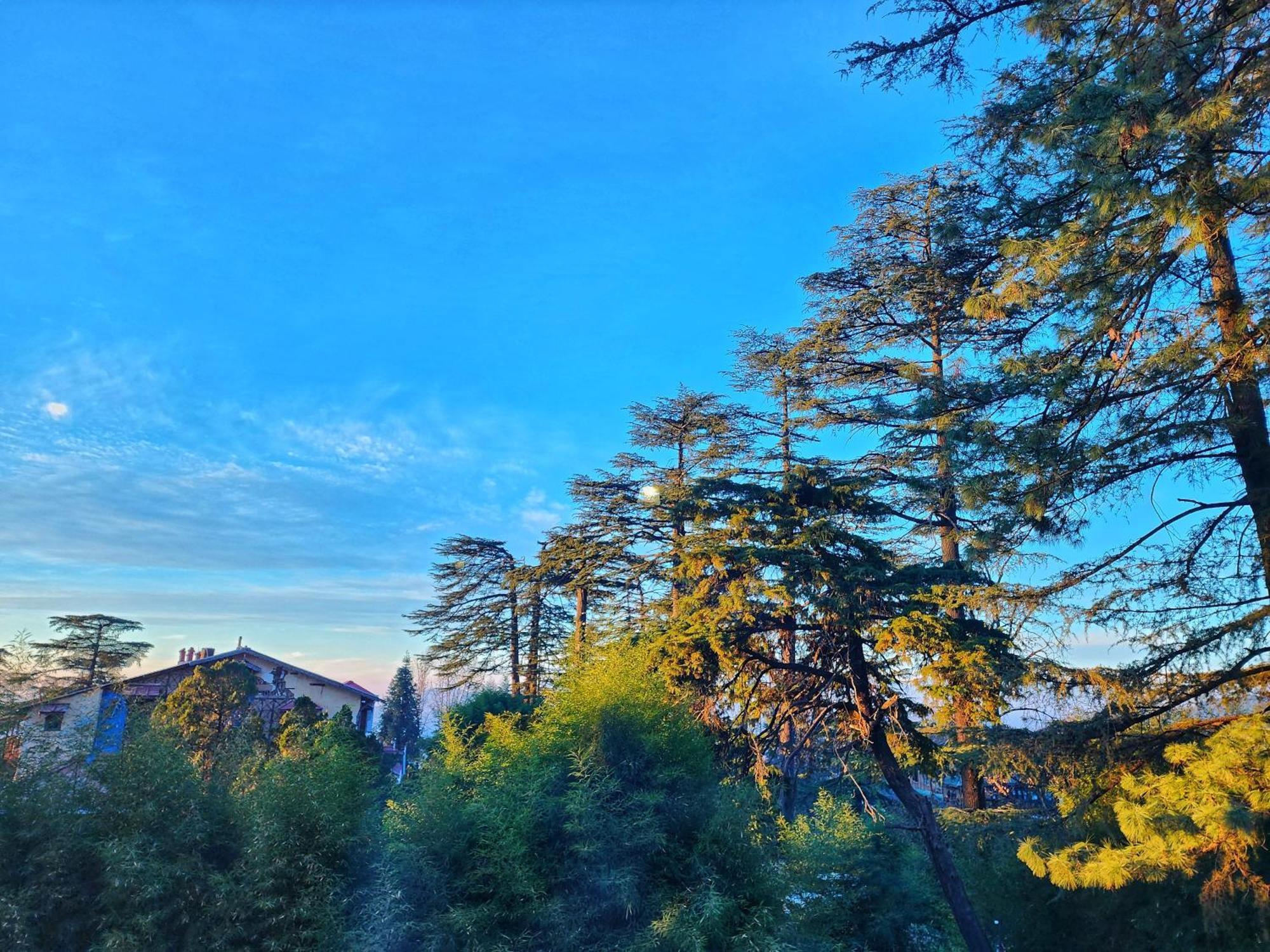 Hotel Pineview Shimla Buitenkant foto