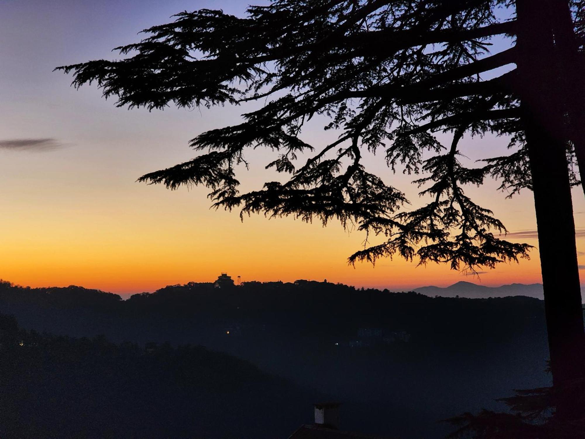 Hotel Pineview Shimla Buitenkant foto