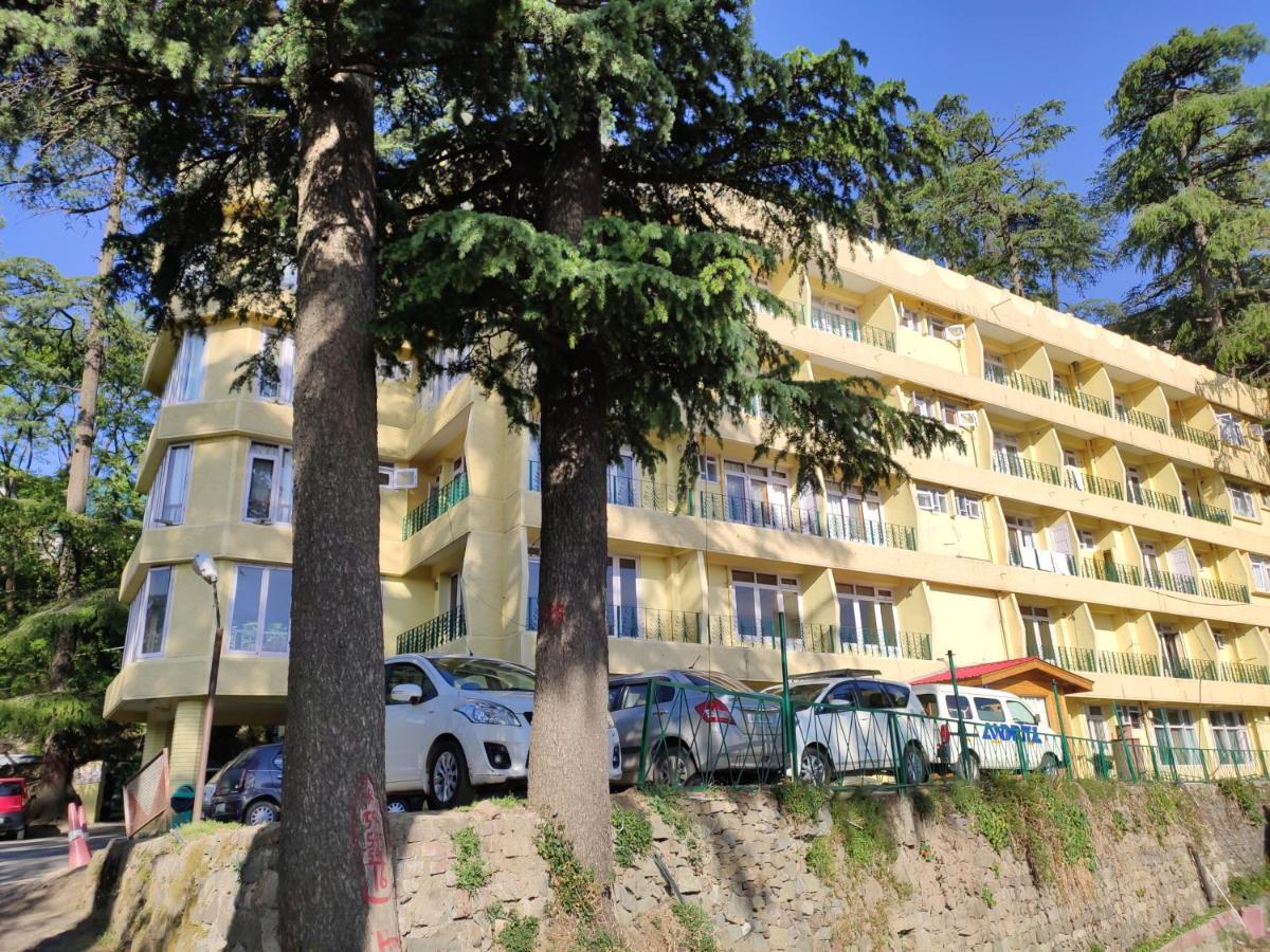 Hotel Pineview Shimla Buitenkant foto